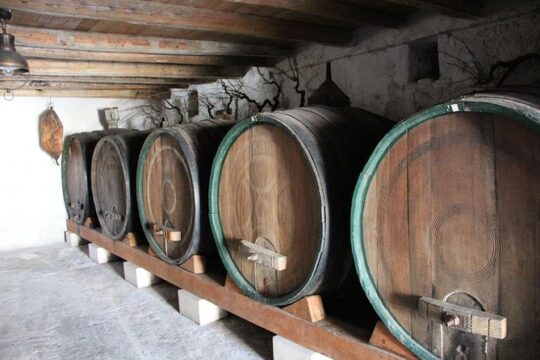Hercegovina wine tasting tour from Dubrovnik