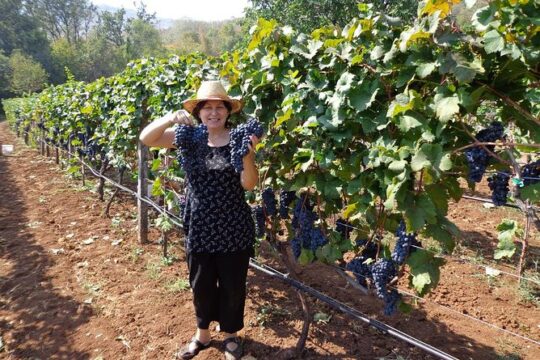 Wine tasting and magical tour from Kotor, Budva, Tivat (Lovcen,Skadar lake)