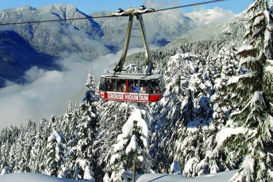Capilano Suspension Bridge & Grouse Mountain Private Tour.