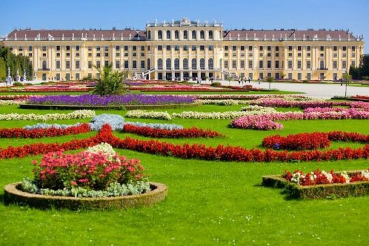 Private 3-hour Walking Tour of Vienna with official tour guide