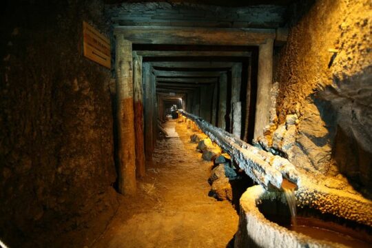 Auschwitz-Birkenau Memorial and Wieliczka Salt Mine Day Tour