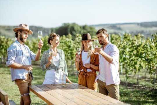 Professional 6 Wines Tasting with Regional Appetizers in a Local’s home - Alba