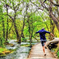Eco Tours