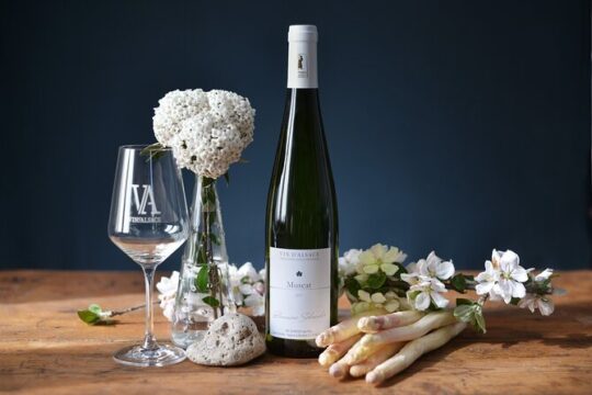 Winemaker's aperitif with Wine Tour and Wine Tasting