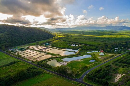 Hook-A-Barra Fishing and Farm Activity