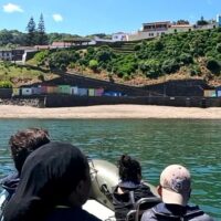 Cruises, Sailing & Water Tours
