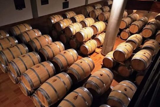 Tasting in a cellar in Marsala and tour of the Mothia lagoon