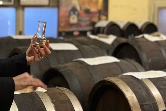 Visit and Tasting of Traditional Balsamic Vinegar of Modena