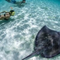 Cultural & Theme Tours