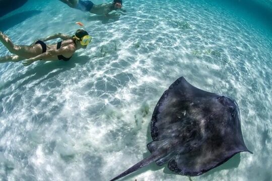 “ Tour in Isla Mujeres “ Transparent boat ride
