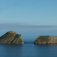 Sailing Trips