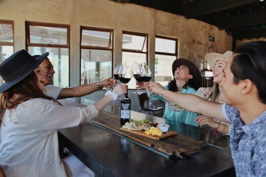 Tasting of 5 wines and tour