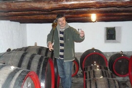 Private wine tasting and sightseeing in the historic towns of Eger and Gyongyos