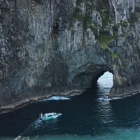 Shore Excursions