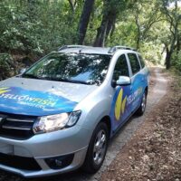 Airport & Ground Transfers