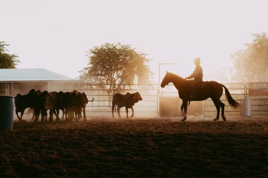 Katherine Outback Experience Show Ticket