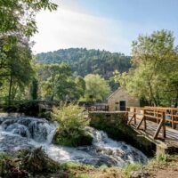 Eco Tours
