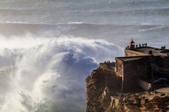 Private One-way Transfer/Tour from Porto to Lisbon