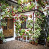 Multi-day Tours