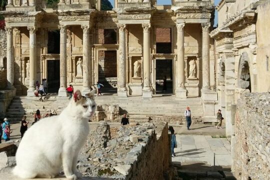 Private Half Day Shore Excursion to Ephesus