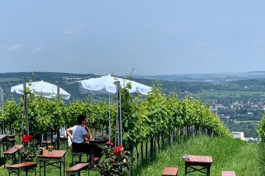 Private Viennese Nußberg Walking Tour with Wine Tasting