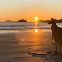 Day Trips & Excursions