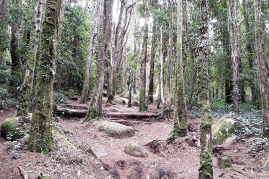 Private Hiking in Natural Park and Traditional Grilled Lunch