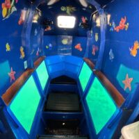 Dolphin & Whale Watching