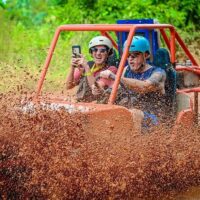 Bus & Minivan Tours
