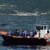 Cruises, Sailing & Water Tours
