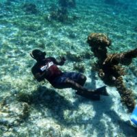 Cruises, Sailing & Water Tours