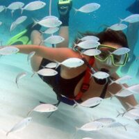 Sustainable Tours