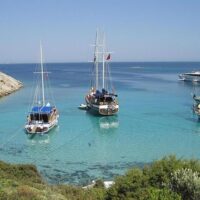 Private & Custom Tours