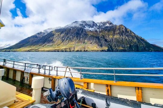 Boat Tours from Siglufjörður