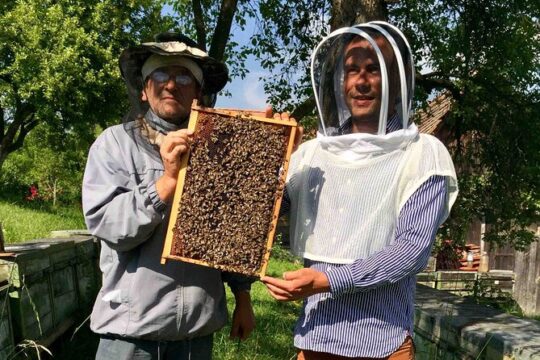 In Viscri from Brașov, a Special Beekeeper and his Work