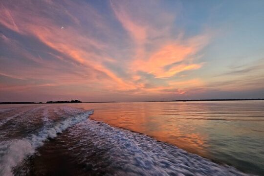 1 Hour Private Dolphin and Nature Tour