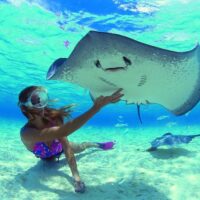 Shore Excursions
