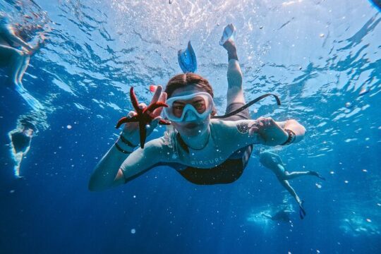 Kamiros Skala: Marine Life Experience and Alimia Island
