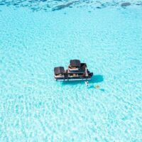 Day Cruises
