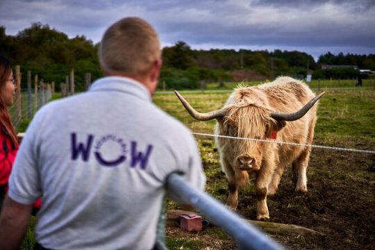 Full-Day Tour of Scotland from Invergordon