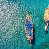 Day Trips & Excursions