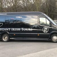 Luxury & Special Occasions