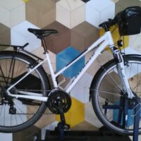 Bike Rentals