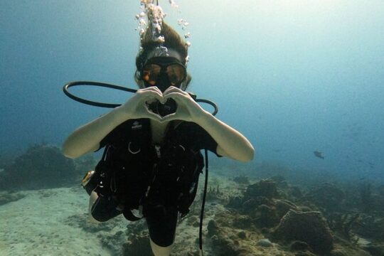 Enjoy two dives without previous experience with a boat trip