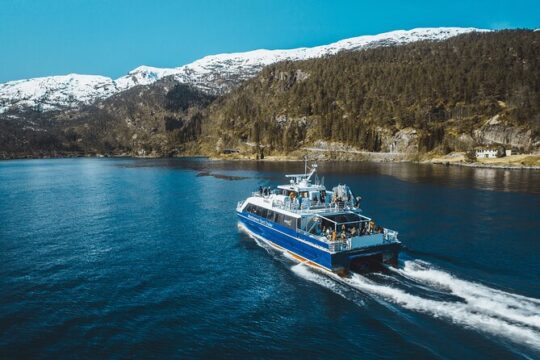 Mostraumen Fjord Cruise