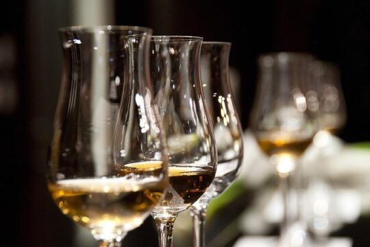 Total Alicante walking tour, tapas and wine tasting