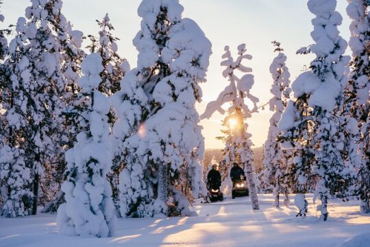 1-Hour Snowmobile Safari Experience