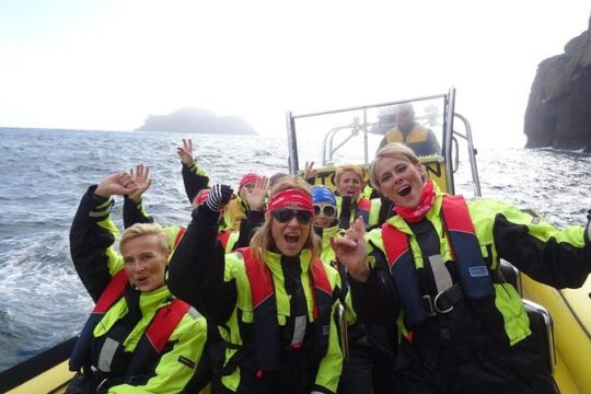 1-Hour Small Group Sightseeing Boat Tour in Vestmannaeyjar