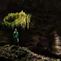 Private & Custom Tours