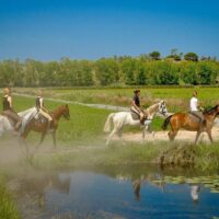 Horseback Riding